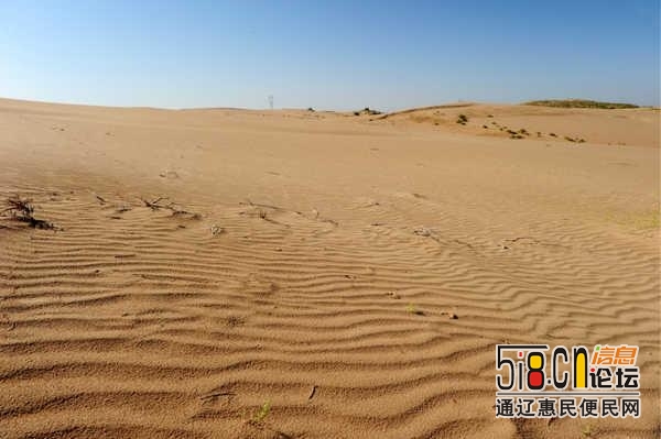 中国首个“官民合作”治沙工程，经过半世纪600亩沙田变绿洲-4.jpg