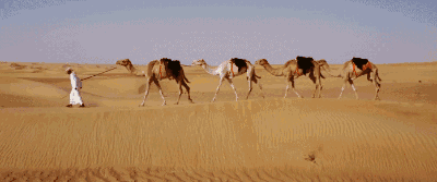 五一假期，去哪儿？来奇美的奈曼骑骆驼、越野车、滑沙，感受沙漠雄浑之美-6.jpg