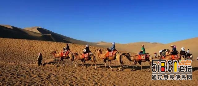 五一假期，去哪儿？来奇美的奈曼骑骆驼、越野车、滑沙，感受沙漠雄浑之美-8.jpg