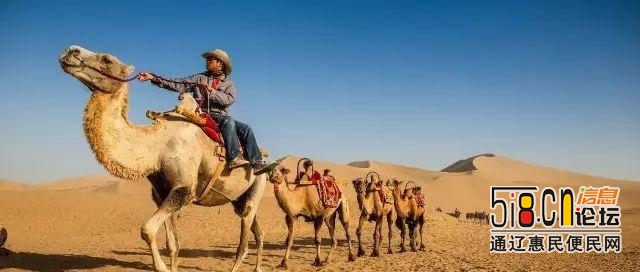 五一假期，去哪儿？来奇美的奈曼骑骆驼、越野车、滑沙，感受沙漠雄浑之美-7.jpg