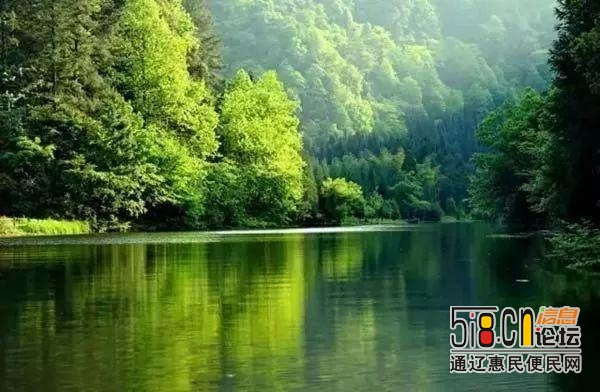 2020年，贵州将建成300个森林旅游景区！-2.jpg