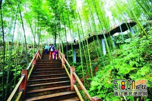 2020年，贵州将建成300个森林旅游景区！-10.jpg