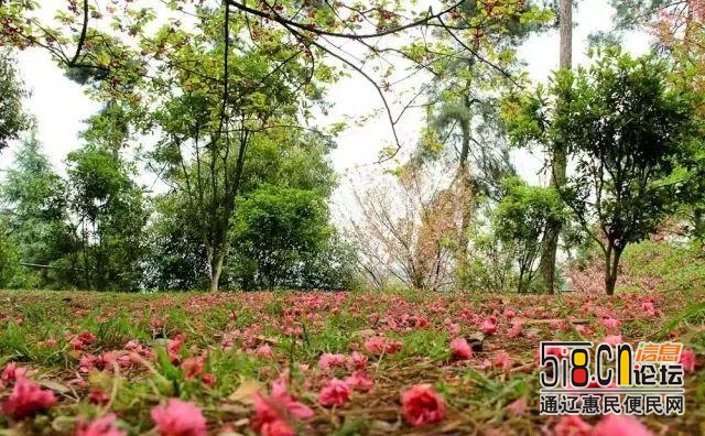 2020年，贵州将建成300个森林旅游景区！-7.jpg