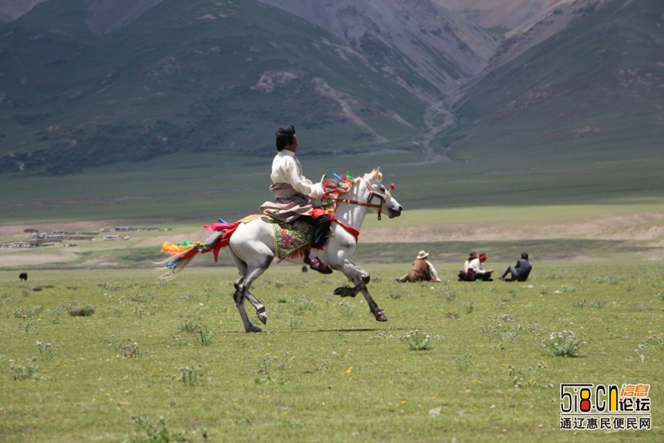 图虫风光摄影：西藏那曲赛马节-15.jpg