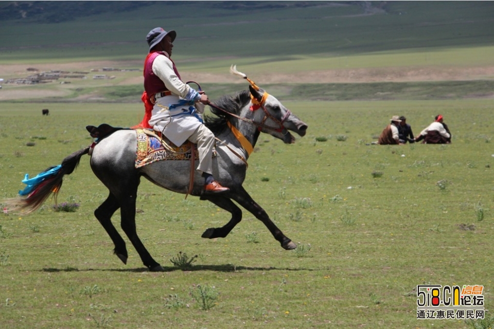 图虫风光摄影：西藏那曲赛马节-16.jpg