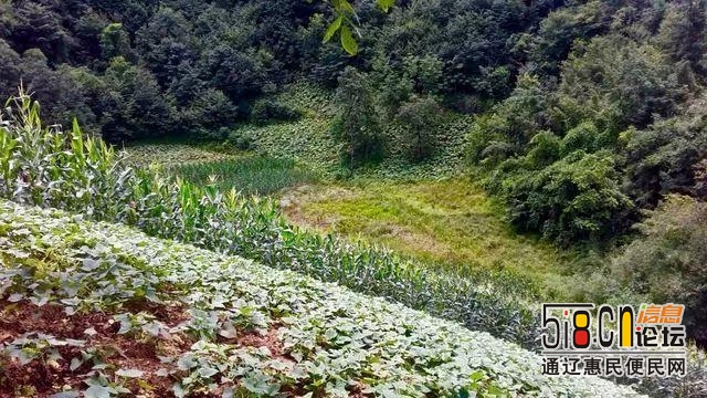 米家坝——隐藏的旅游景区-5.jpg