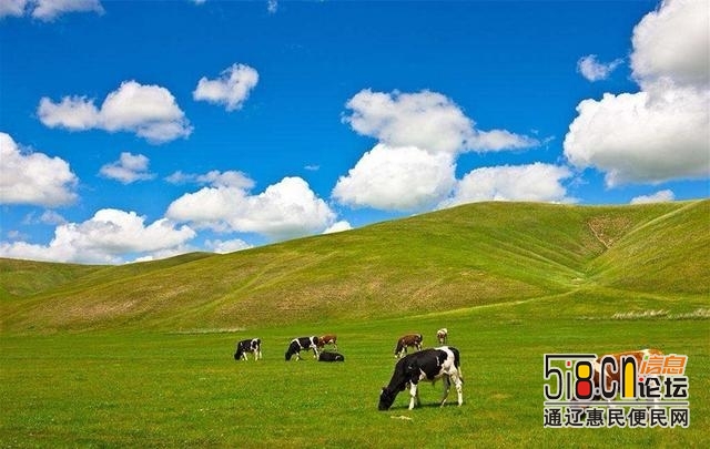 江山多娇：绿色内蒙古风景四-9.jpg