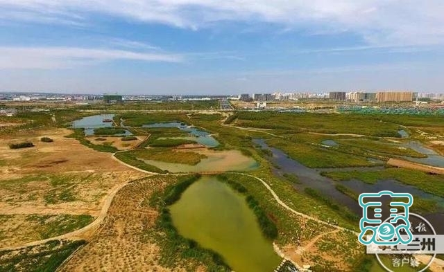 新区又添好景致丨投资6亿元 秦王川湿地公园开园迎客-4.jpg