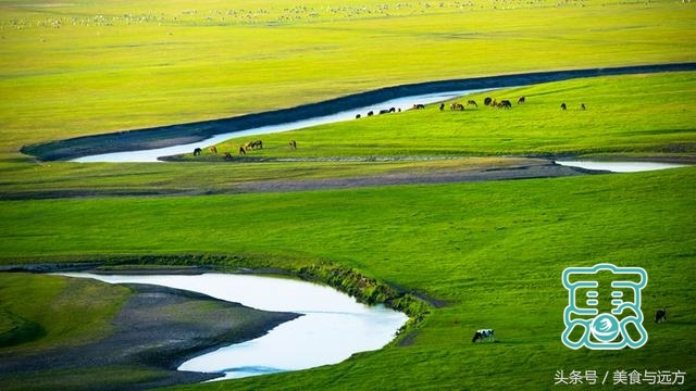 内蒙古最美的草原，一图看尽十六个草原-2.jpg