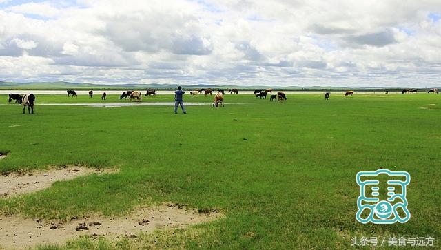 内蒙古最美的草原，一图看尽十六个草原-16.jpg