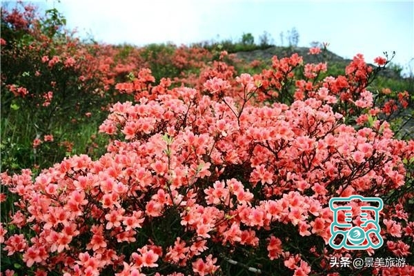 广东雪山金子山获颁4A景区牌匾，成为了连山壮瑶自治县的龙头景区-10.jpg