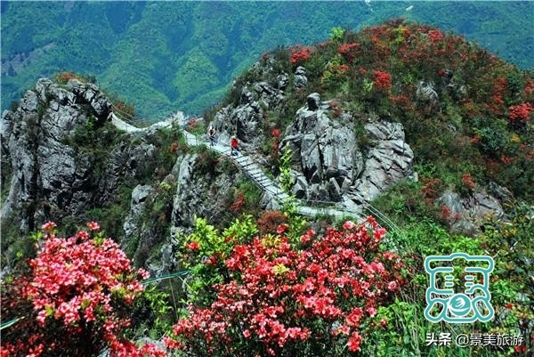 广东雪山金子山获颁4A景区牌匾，成为了连山壮瑶自治县的龙头景区-11.jpg
