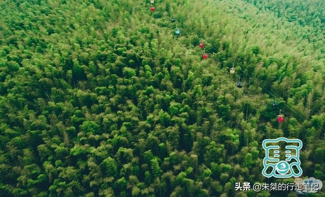 中国最美竹海，坐拥近4万亩竹海是5A级景区，游客却说“太坑了”-1.jpg