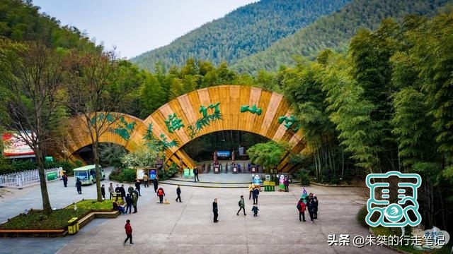 中国最美竹海，坐拥近4万亩竹海是5A级景区，游客却说“太坑了”-2.jpg