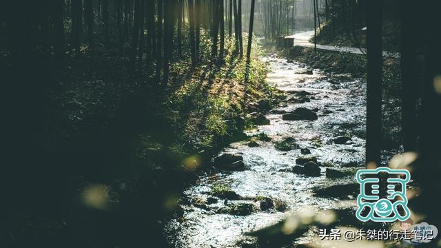 中国最美竹海，坐拥近4万亩竹海是5A级景区，游客却说“太坑了”-5.jpg