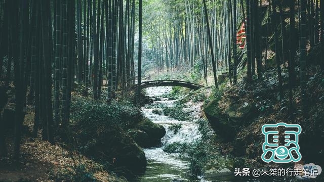 中国最美竹海，坐拥近4万亩竹海是5A级景区，游客却说“太坑了”-6.jpg