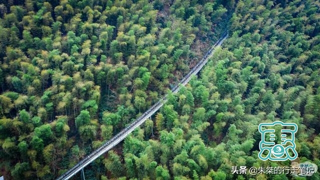 中国最美竹海，坐拥近4万亩竹海是5A级景区，游客却说“太坑了”-3.jpg