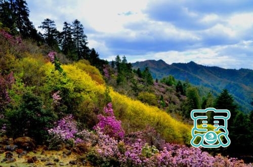 河南最美第一乡，拥有2家5A和1家4A景区，奇山秀水风景如画-6.jpg