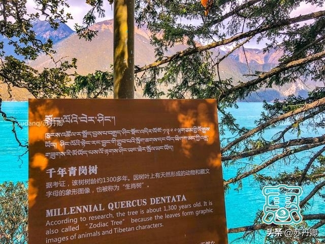 西藏唯一5A级自然风景类景区，美得令人沉醉，更有神秘古寺-9.jpg