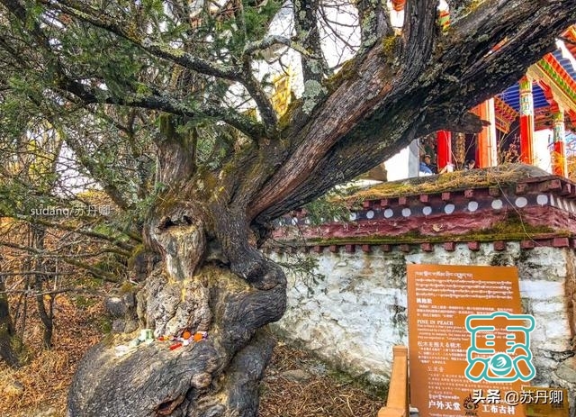 西藏唯一5A级自然风景类景区，美得令人沉醉，更有神秘古寺-7.jpg