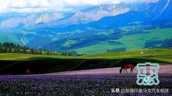 新疆各景区最佳旅游时间-10.jpg