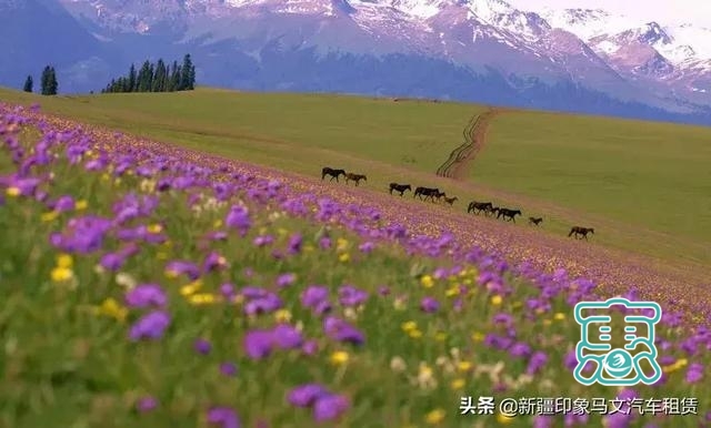 新疆各景区最佳旅游时间-20.jpg