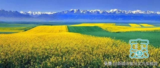 新疆各景区最佳旅游时间-27.jpg