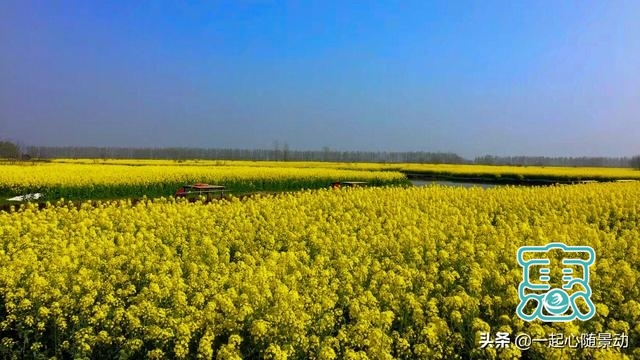 春季里江苏最美乡村旅游景区，油菜花与水相互响应，实在吸引眼球-1.jpg