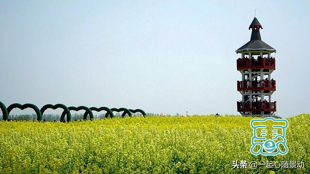春季里江苏最美乡村旅游景区，油菜花与水相互响应，实在吸引眼球-5.jpg
