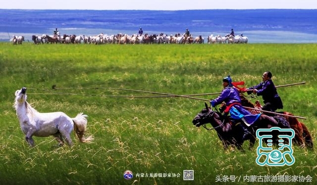 霍林郭勒市首届  “可汗山自驾车露营地杯”  全国摄影大赛-8.jpg