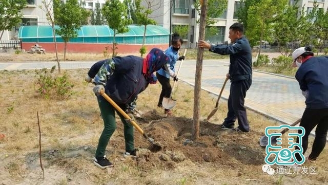 滨河街道新天地社区组织各物业工作人员开展“多一片绿叶，多一份温馨”植树活动-1.jpg