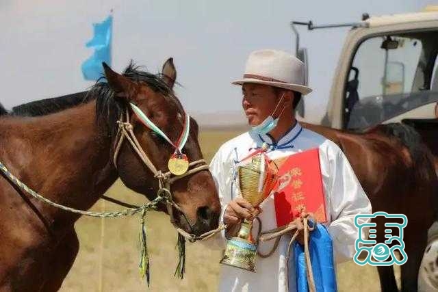 内蒙古通辽市扎鲁特旗举办120公里赛马-2.jpg