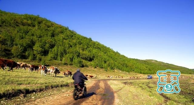 内蒙古扎鲁特旗牧民的敖特尔之路-1.jpg