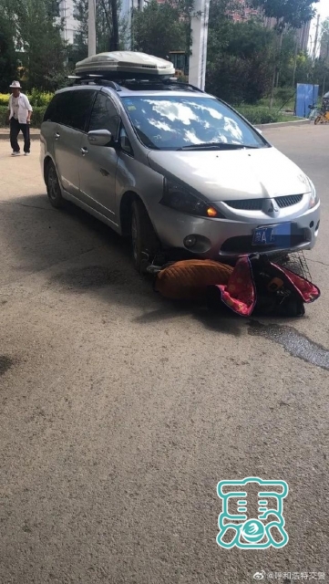 呼和浩特街头一辆电动自行车逆行被撞，驾驶人受伤-1.jpg