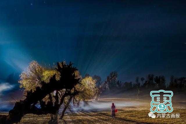怪柳林——奈曼文化旅游的一张靓丽名片-5.jpg