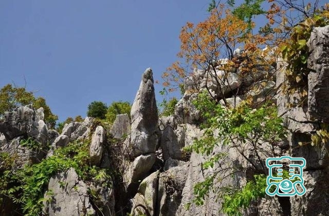 浙江一“石林”景区，人称“象形石动物园”，怪石堪比黄山-3.jpg