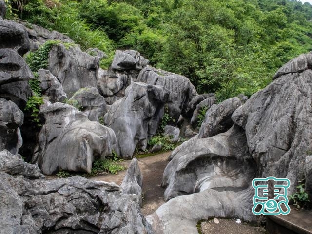 浙江一“石林”景区，人称“象形石动物园”，怪石堪比黄山-5.jpg