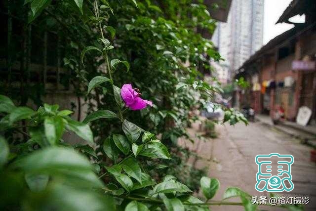 中国最适合养老的6个古镇，气候宜人节奏慢，尤其秋天美如画-10.jpg