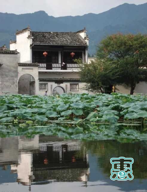 中国最具特色的20个小镇，记住它收藏它-30.jpg
