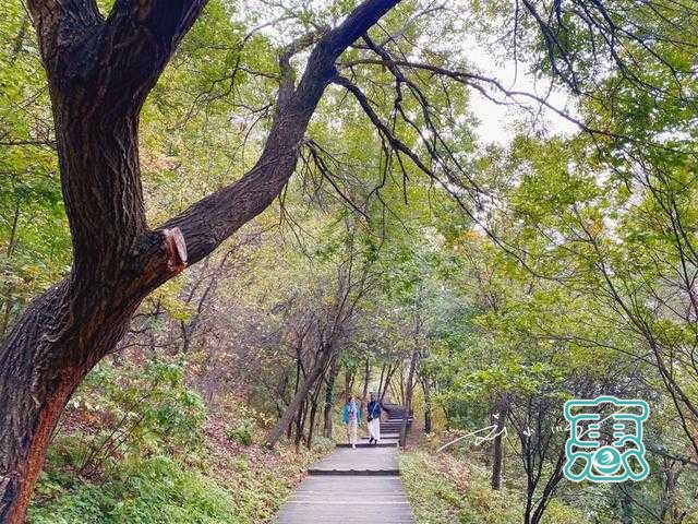 吉林省延吉市有一处免费4A级旅游景区，游客：这不就是个大公园？-13.jpg