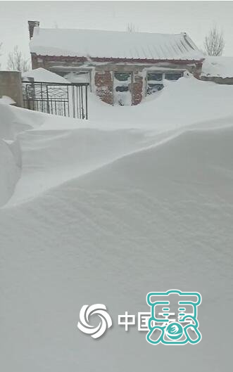 雪实在太大了！通辽市民雪中挖车、居民早起发现一楼“不见了”、有人称出行靠爬-4.jpg