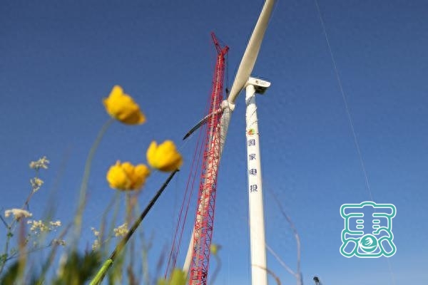 风从草原来 霍林河循环经济绿电装机规模突破百万千瓦-2.jpg
