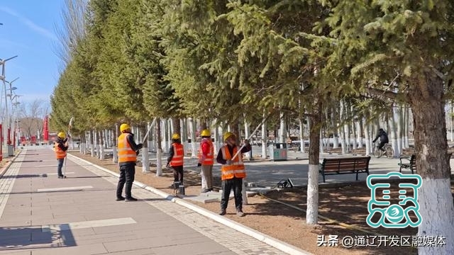 为城市“梳妆换颜” 开发区开启春季绿化管护工作-3.jpg
